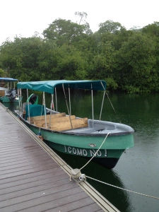 Bocas Del Toro-Red Frog Resort